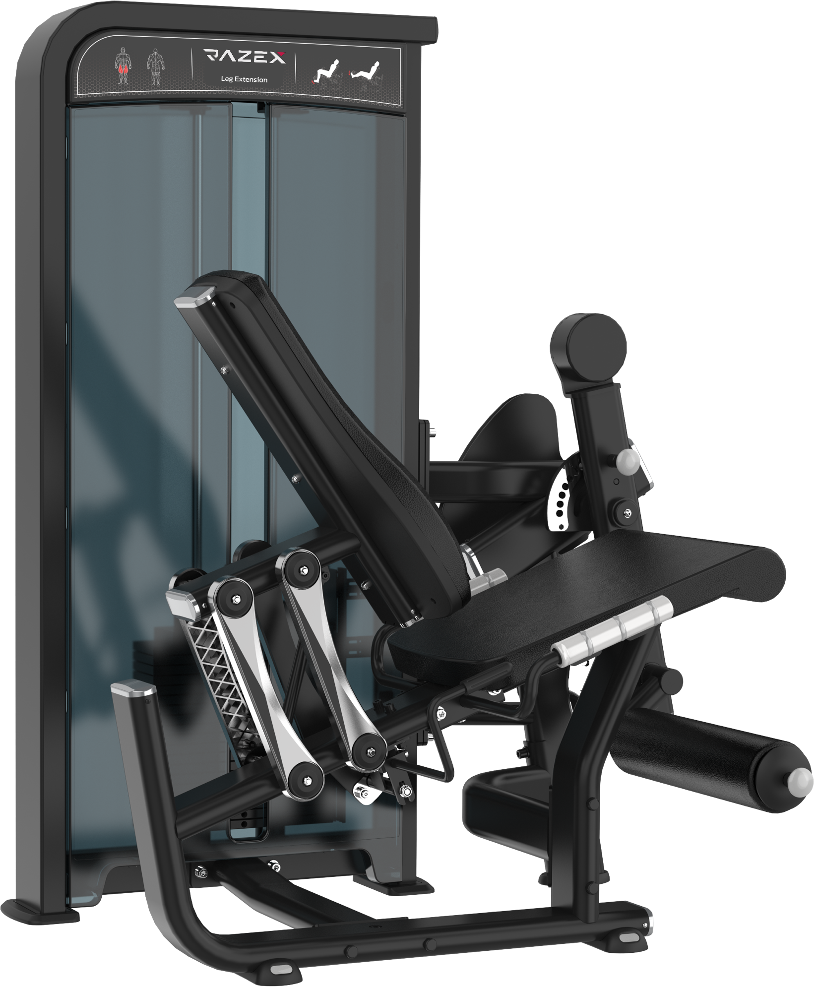 Leg Extension